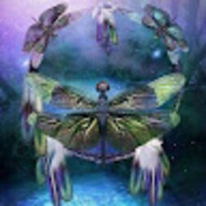 Meet your Posher, Elisha